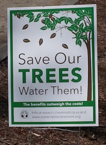 Save-Our-Trees